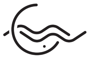 Cape Moby Winery Logo